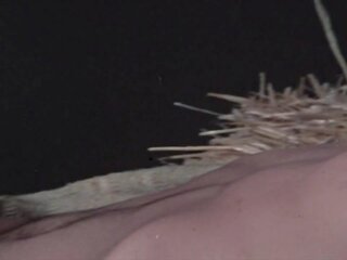ザ· rites の uranus 1975 私達 ビンテージ フル 映画: 高解像度の ポルノの 91 | xhamster