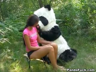 Szex videó -ban a woods -val egy hatalmas játék panda